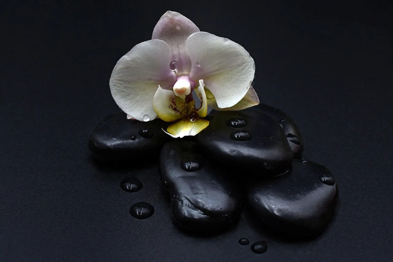 Massage Center In Dubai