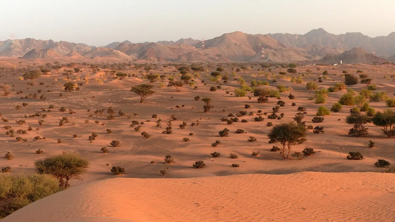 Oman Visa Check Online